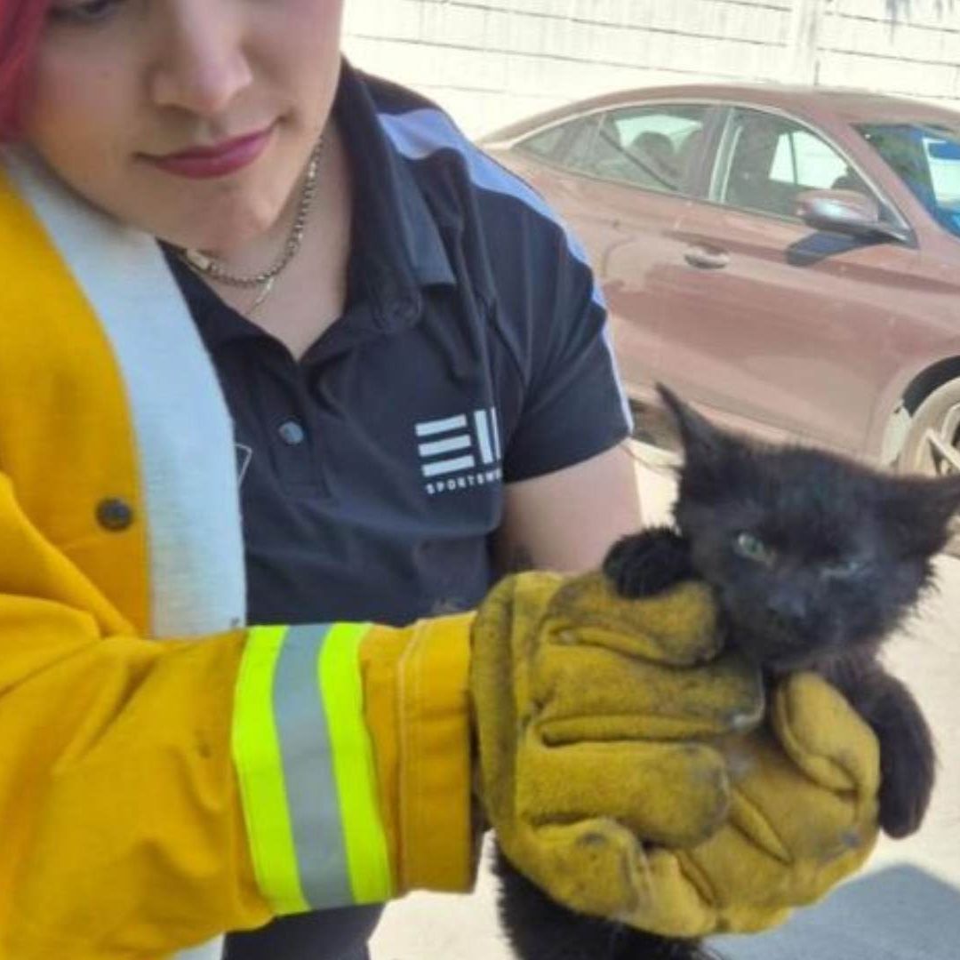 Mujer y gatito en Monterrey