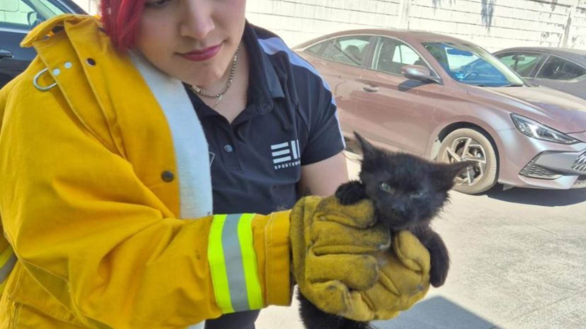 Mujer y gatito en Monterrey