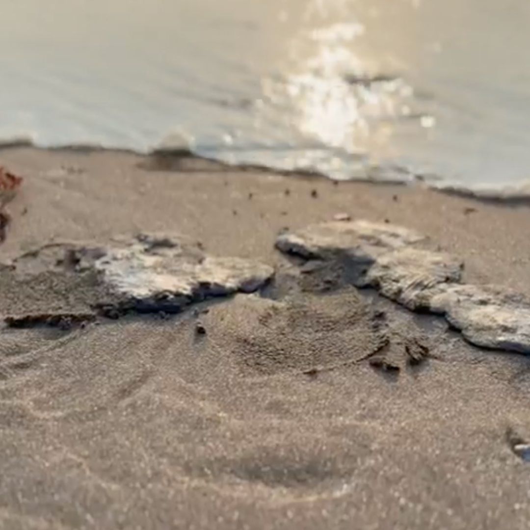 Hidrocarburo en playa de Chachalacas en Veracruz