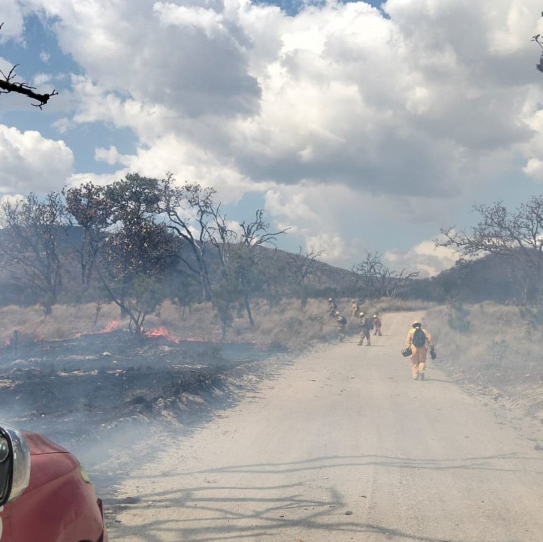 Reportan incendio hoy en la primavera