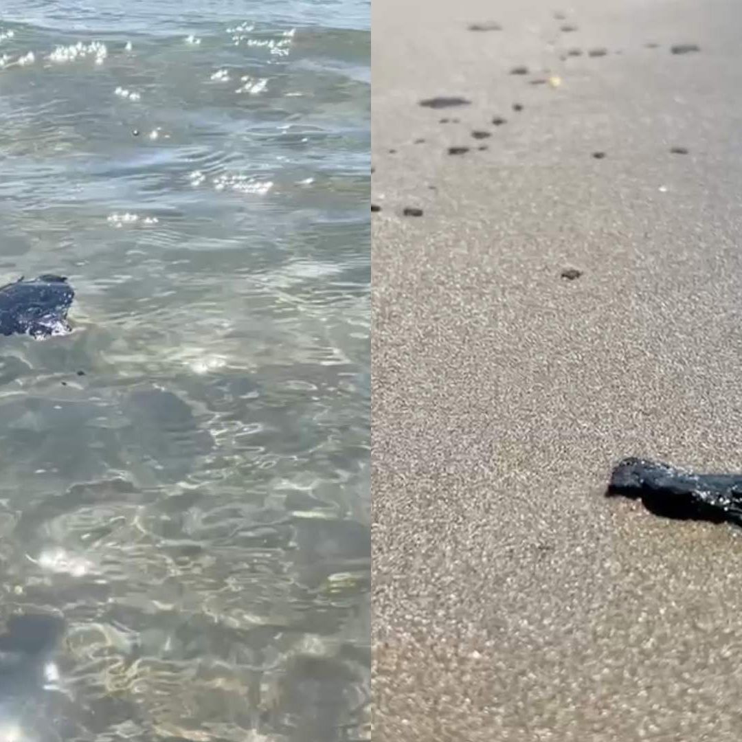 Llegan Fragmentos Restos de Hidrocarburo a Playa Villa del Mar en Veracruz