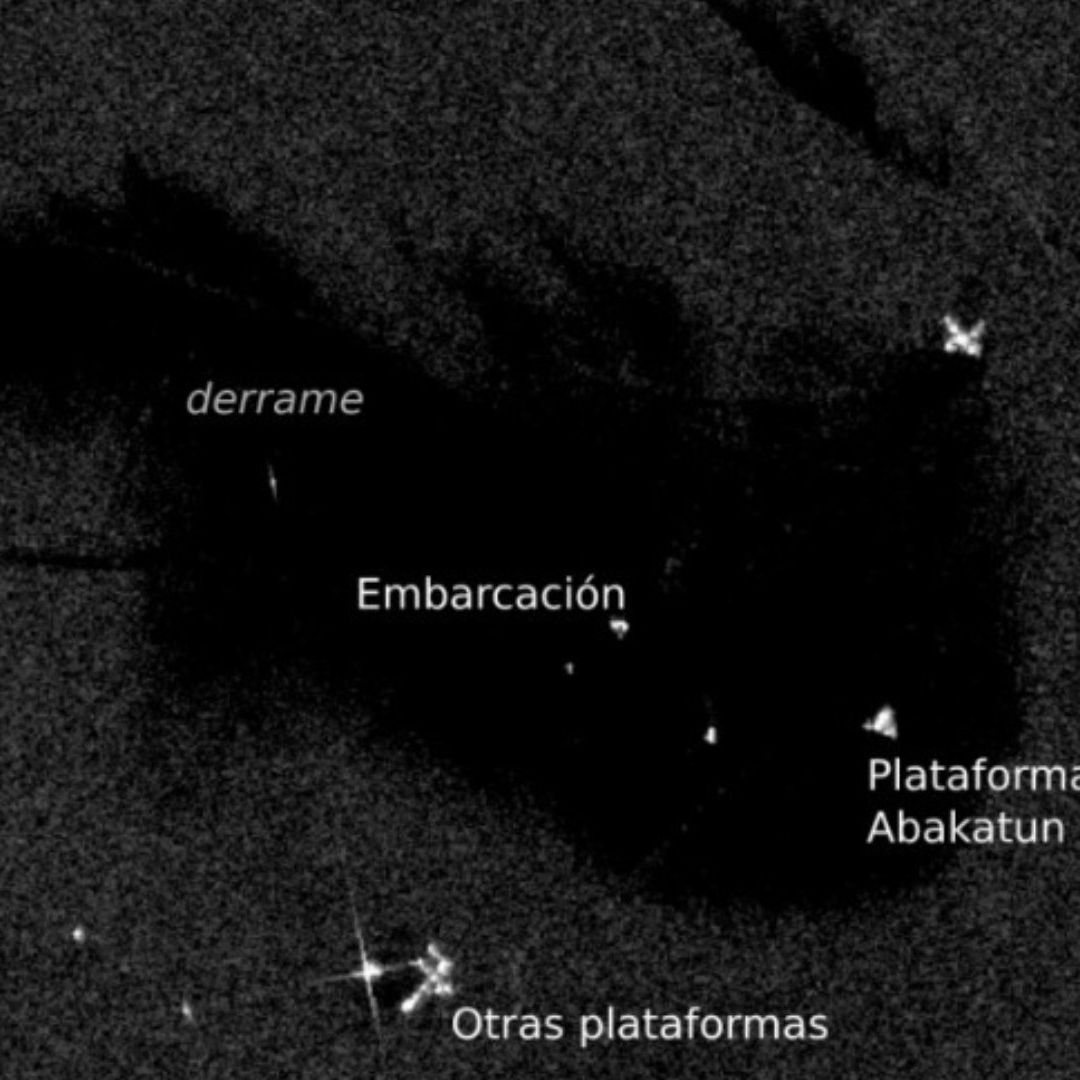 Organizaciones Afirman que Derrame en el Golfo de México Comenzó en Febrero en Campeche.
