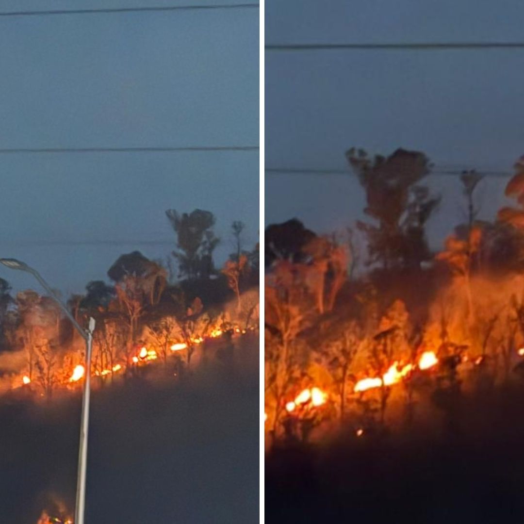 Reportan Fuerte Incendio en Cerca de Teleféricos en Cerro Parque del Tepeyac en la GAM, CDMX