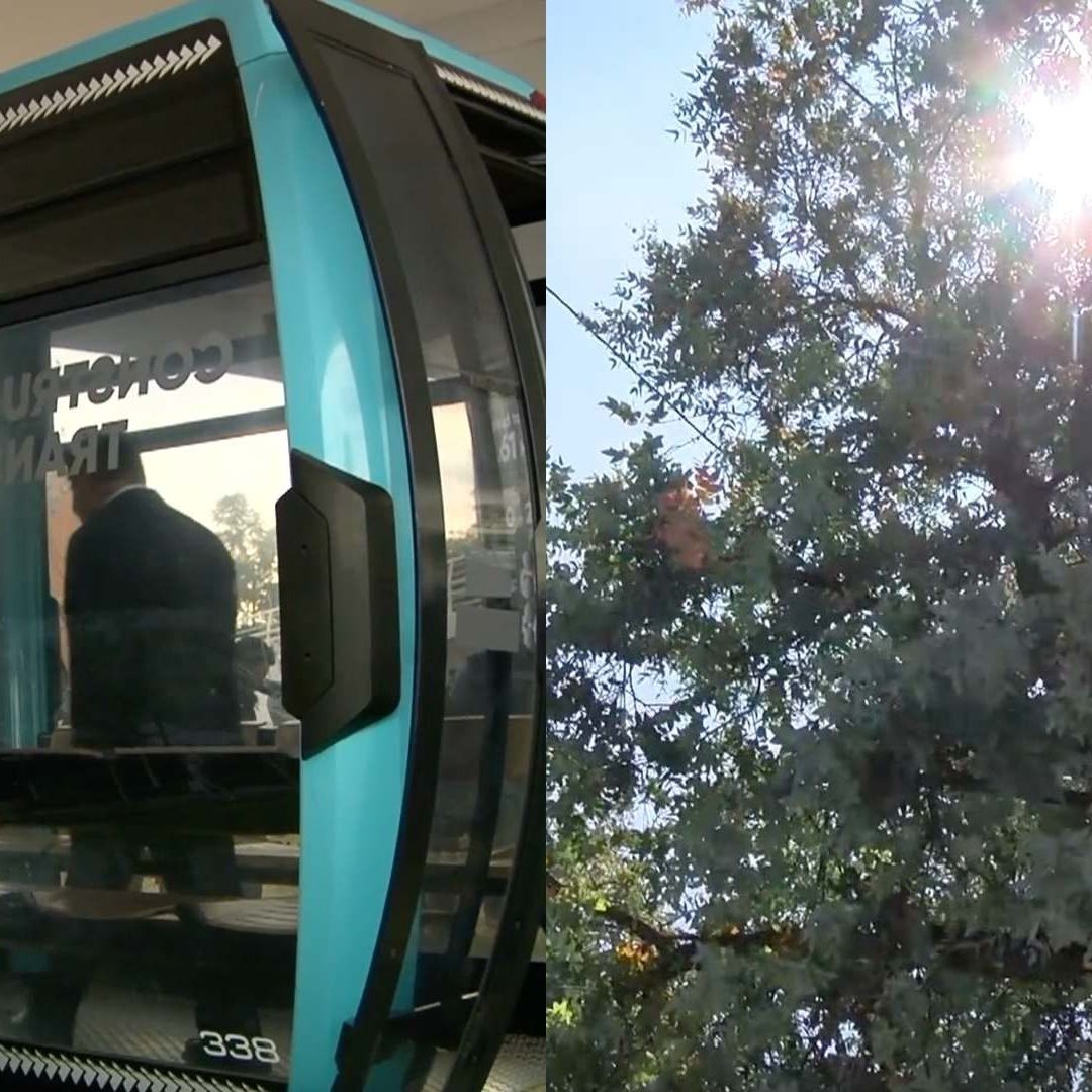 Suspensión Provisional de Proyecto Cablebús por Riesgo Ambiental en Puebla por Orden de Tribunal