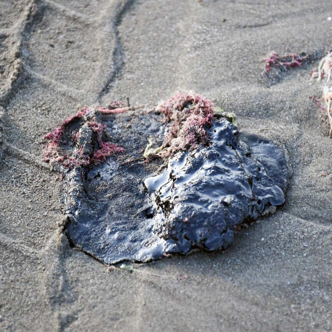 Derrame de Petróleo en Golfo de México: Habitantes de Tabasco y Veracruz Detectan los Puntos Afectados