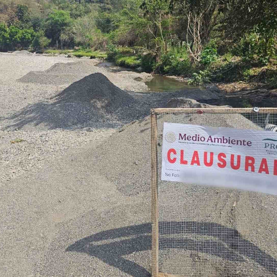 Profepa Frena Daño Ambiental en Sierra Gorda