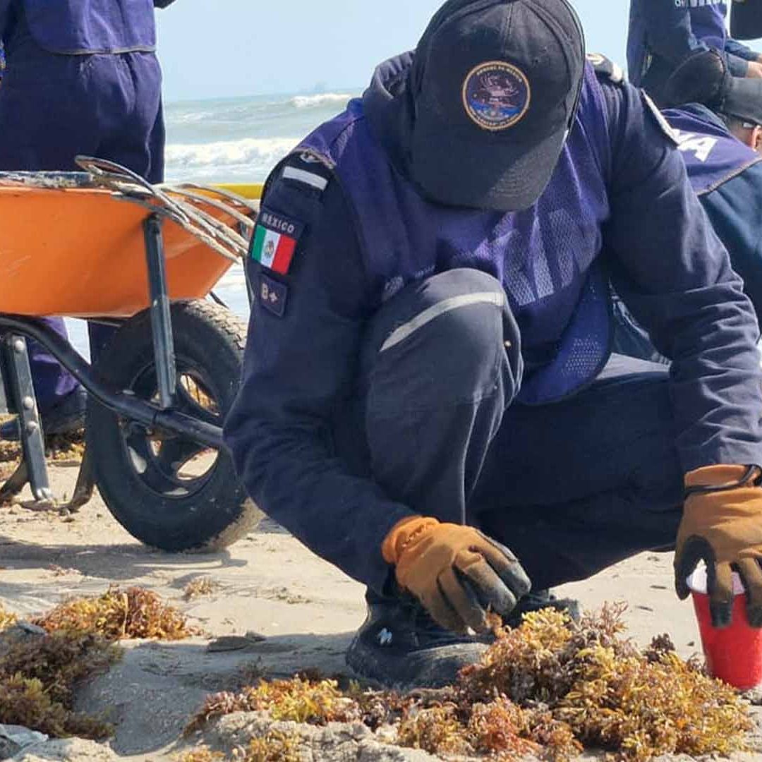 Contaminación por Hidrocarburo Afecta Costas de Tamaulipas y Veracruz; Pescadores Paran Labores.