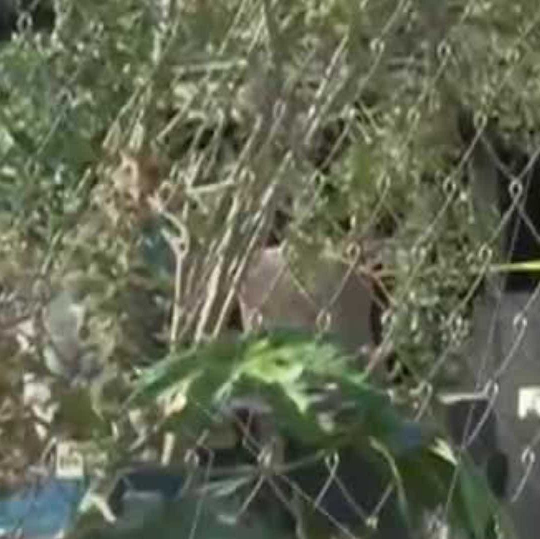 Muere trabajador en la obra