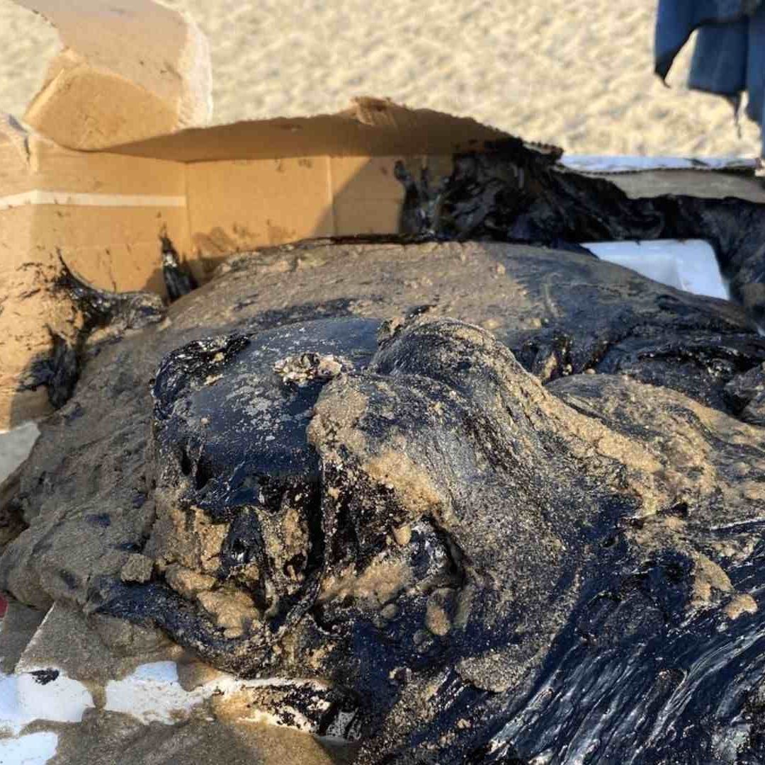 Retiran Hidrocarburo Localizado en Playa Miramar en Ciudad Madero, Tamaulipas