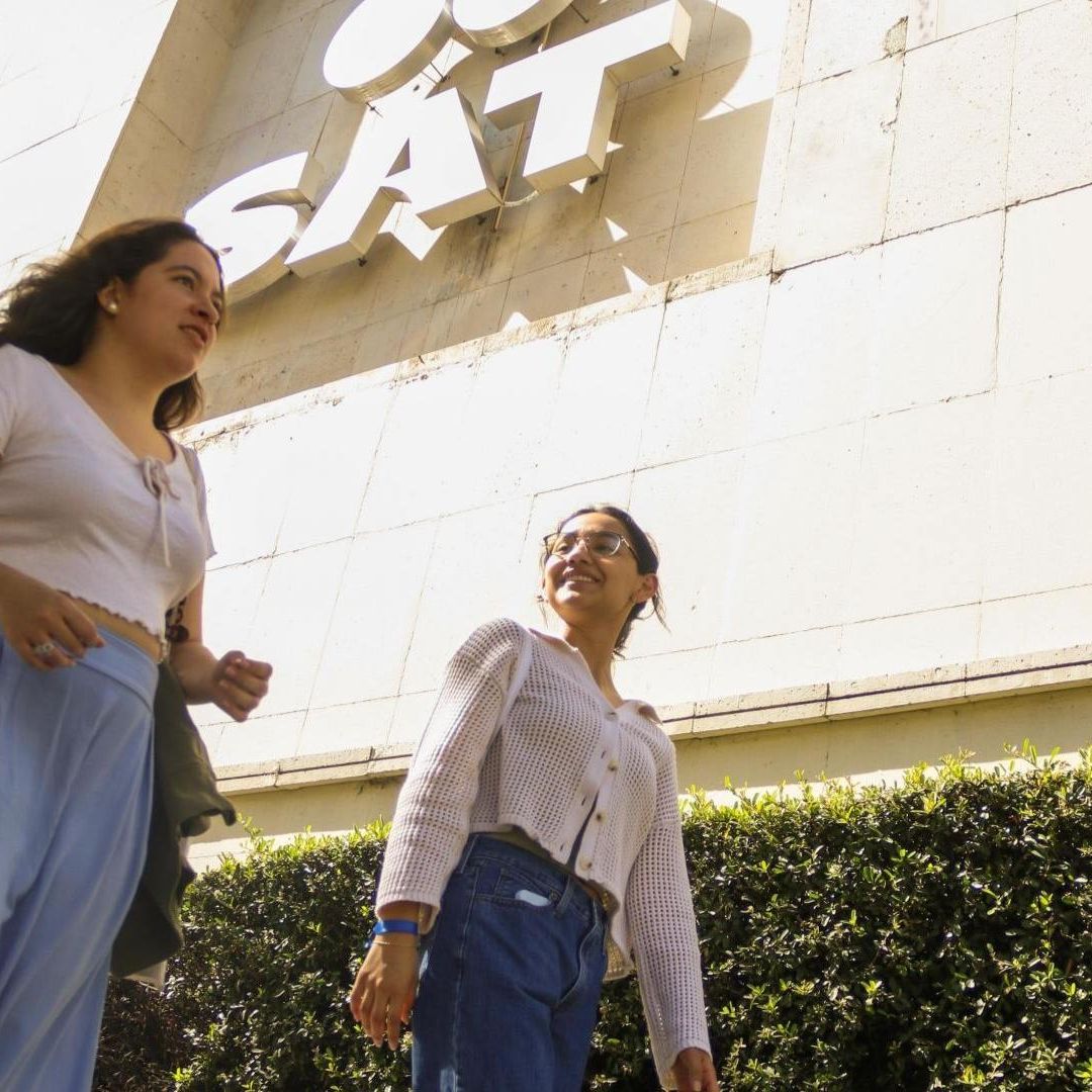 Declaración SAT