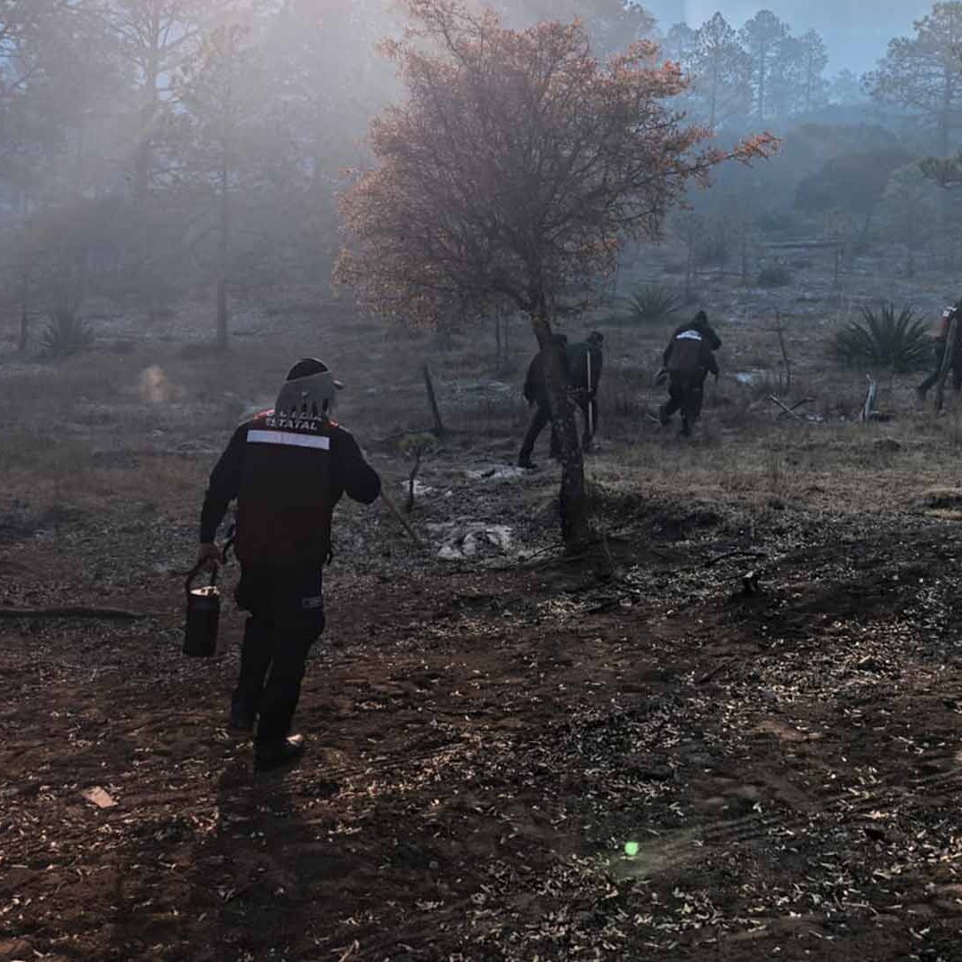 Autoridades Activan el Plan Tamaulipas por Incendio Forestal en Miquihuana