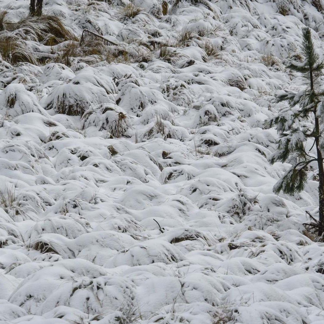 En esta zona las nevadas no son comunes.