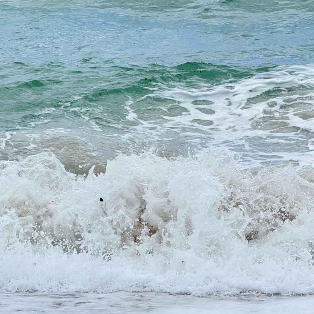 Residuos de Hidrocarburo ya Afecta Zonas de Pesca en Playa Miramar de Madero