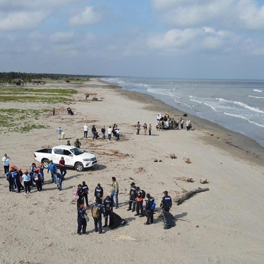 Recolectan 700 Toneladas de Hidrocarburo en 480 Kilómetros de Costa Manglares y Esteros en Veracruz y Tamaulipas