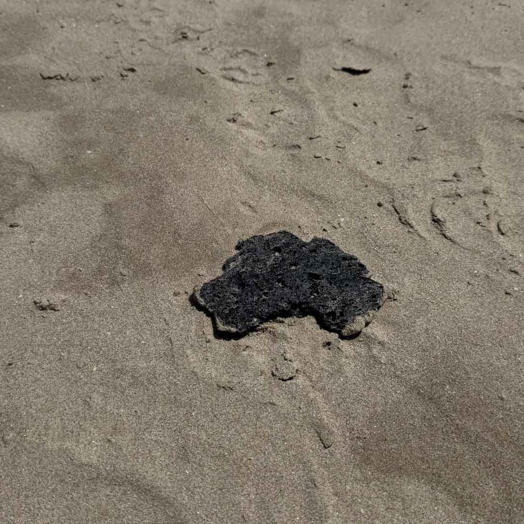 Playa Miramar Recibe Turismo Pese a Presencia de Hidrocarburo en el Golfo de México