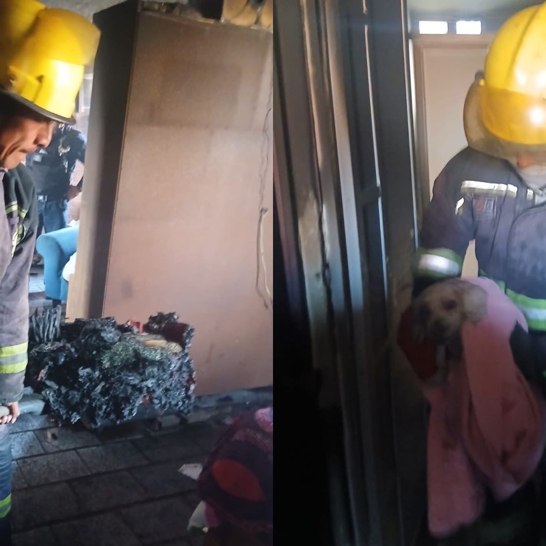 Perro Rescatado Incendio Vivienda Unidad Habitacional San Bartolo Puebla