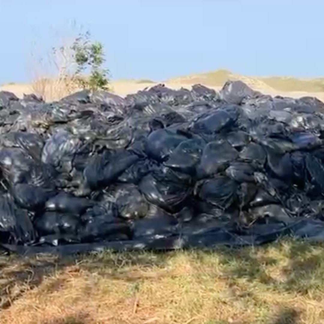 Bolsas con Hidrocarburo Recolectado de las Playas Afecta Familias Congregación Barrillas al Sur de Veracruz