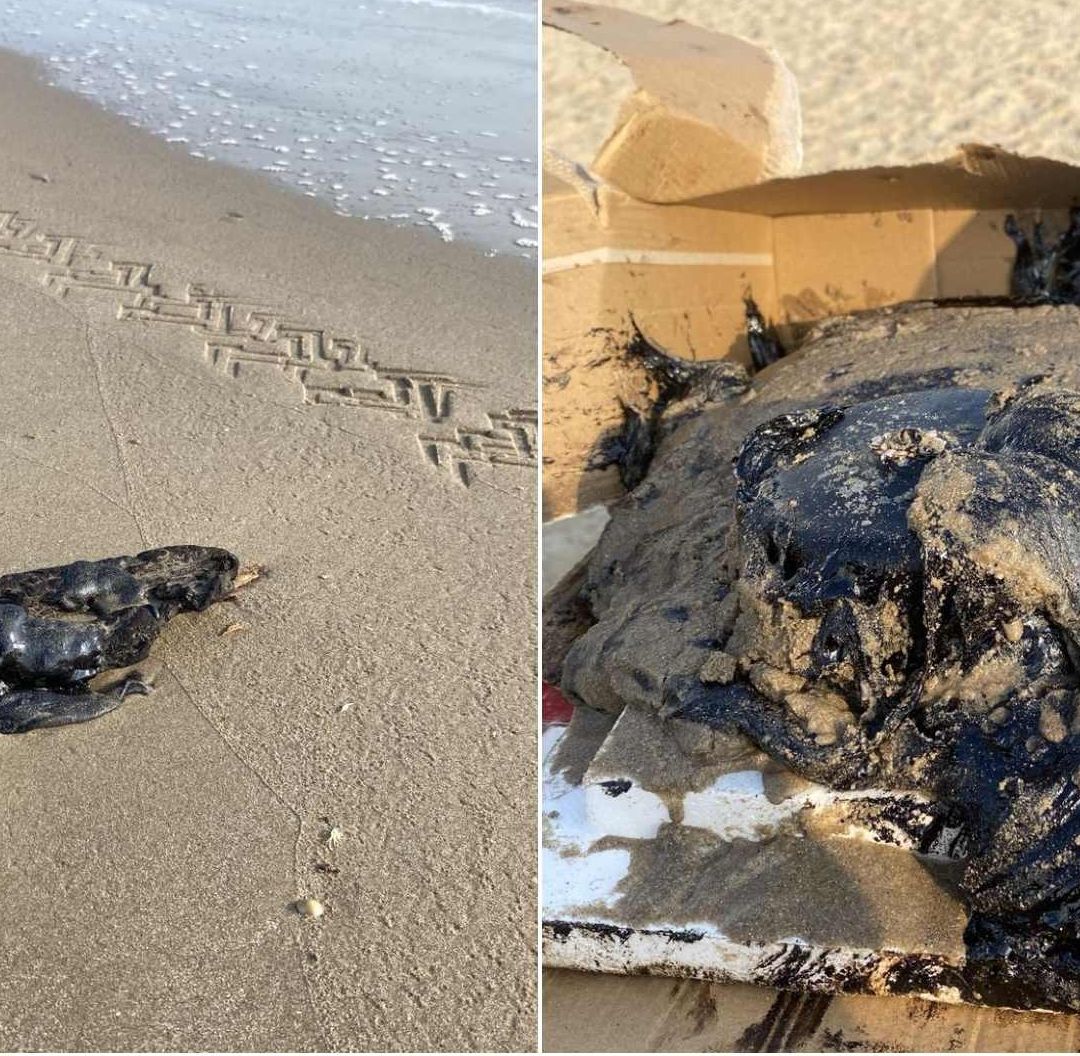 ¿Qué Son las Chapopoteras, Una de las Causas del Derrame de Hidrocarburos en el Golfo de México?