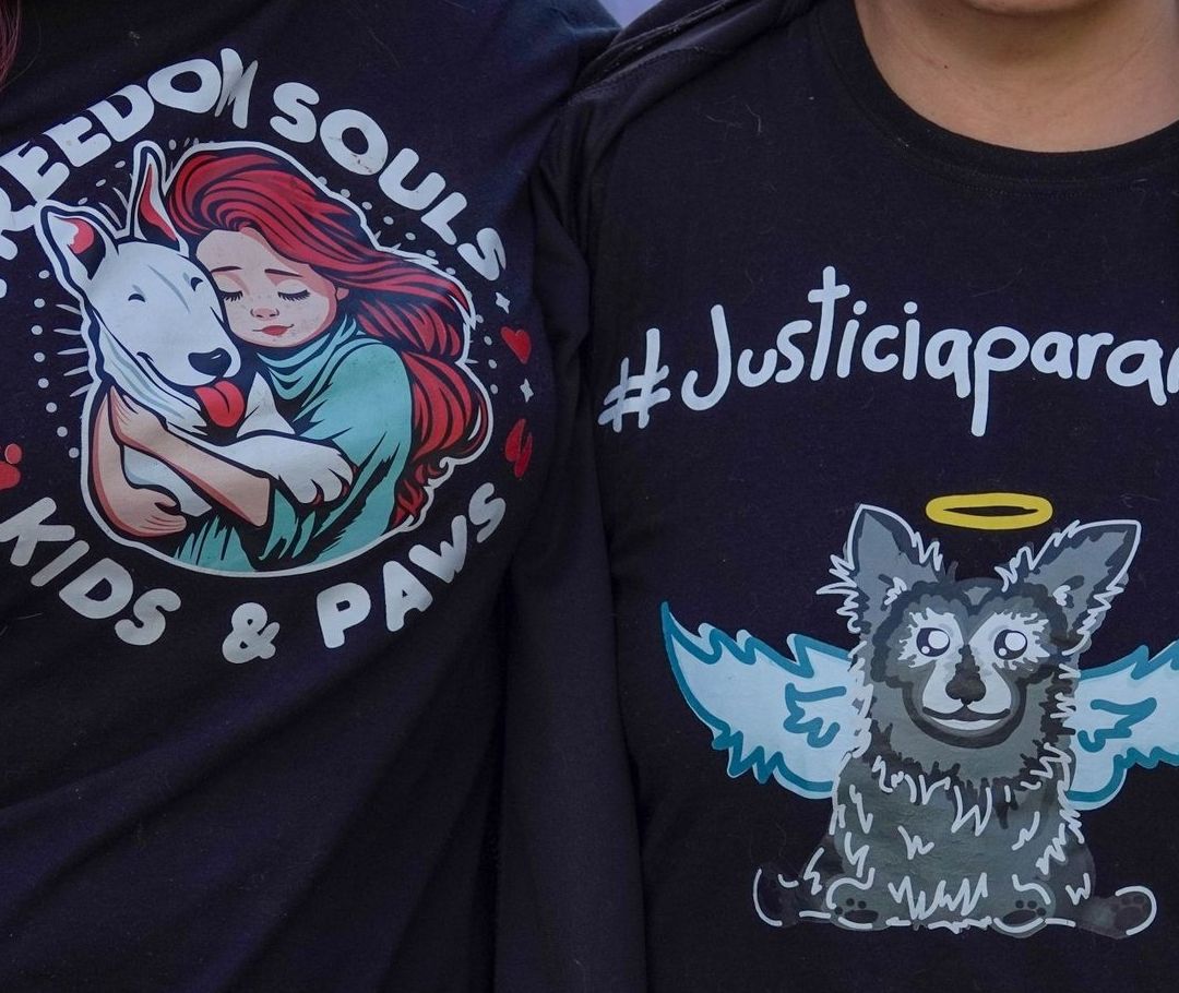 Animalistas exigen castigos más duros por maltrato animal