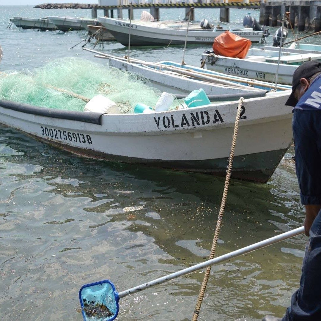 ¿Son seguras las playas de Veracruz y Tabasco tras derrame?