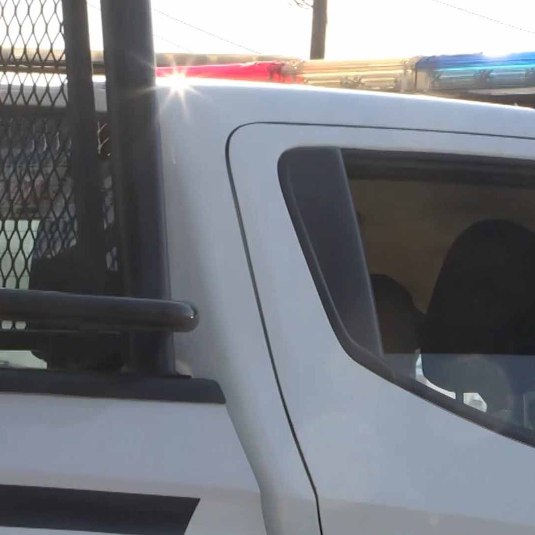 Encuentran a Perra en Estado Crítico entre Basura en Arroyo al Oriente de Saltillo
