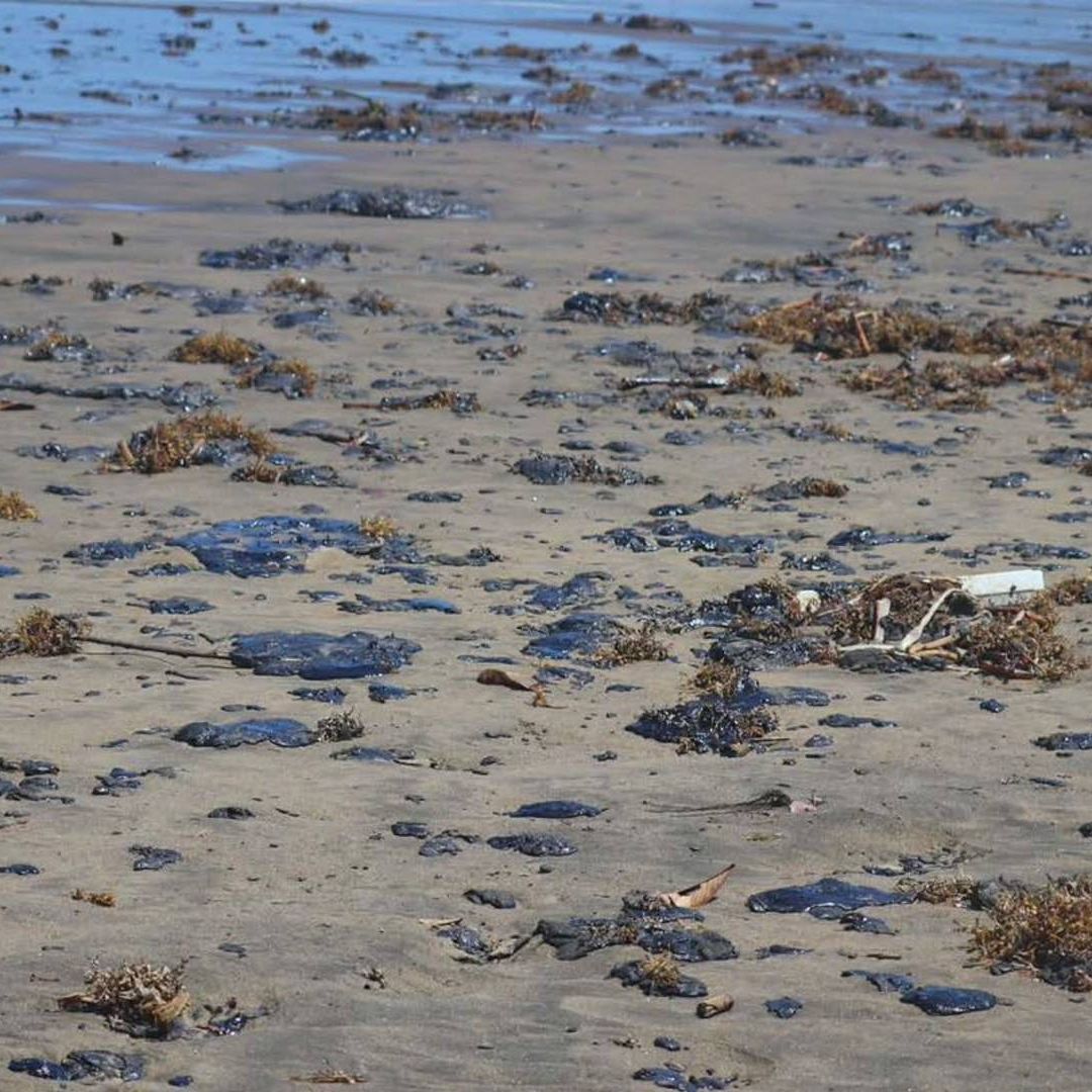 Derrame de hidrocarburo en la línea de costa del Golfo de México. Foto: Greenpeace vía Cuartoscuro