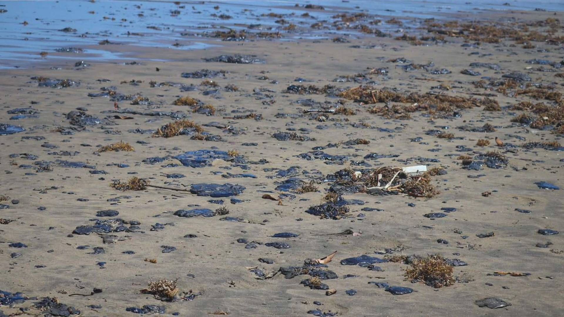 Derrame de hidrocarburo en la línea de costa del Golfo de México. Foto: Greenpeace vía Cuartoscuro