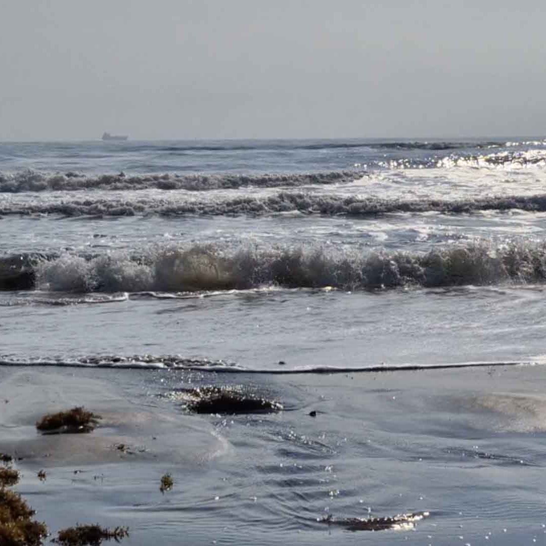 Marina Limpia Playa Hermosa en Veracruz por Presencia de Hidrocarburo Previo a Semana Santa 2026