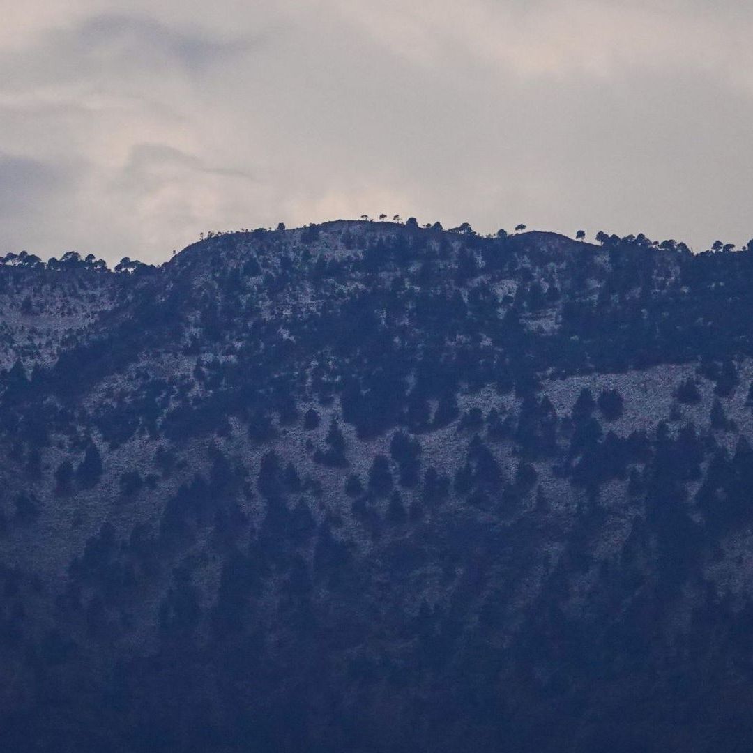 Nevada en la zona alta del Ajusco