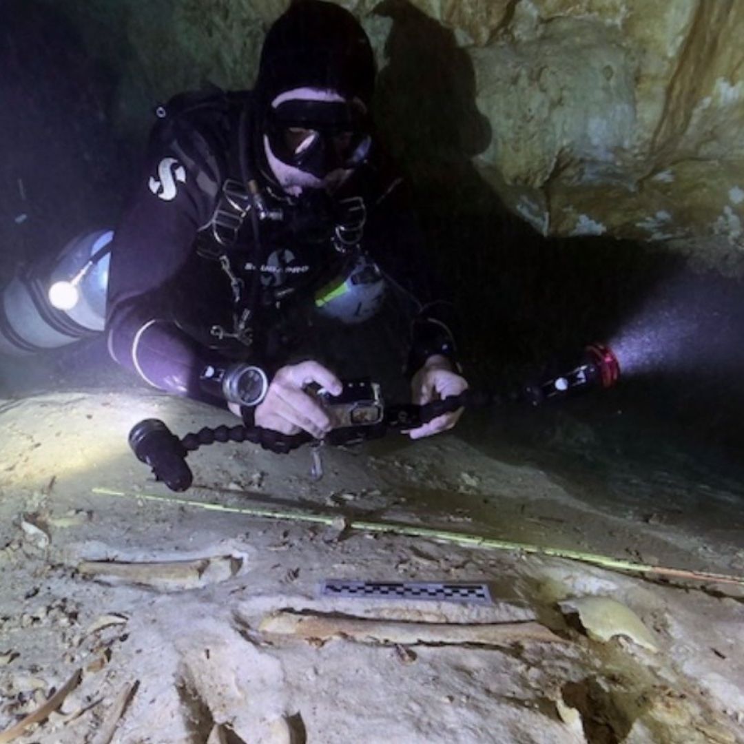 INAH Traslada a CDMX Fósiles Humanos Descubiertos en Cenote de Quintana Roo