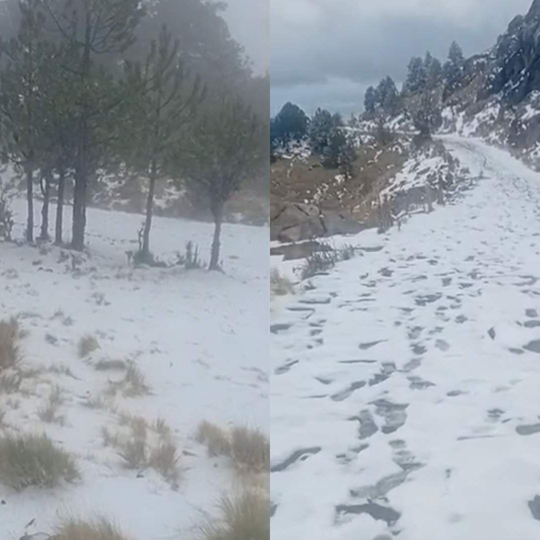 Se Registra Nevada en plena Primavera en Cofre de Perote Veracruz