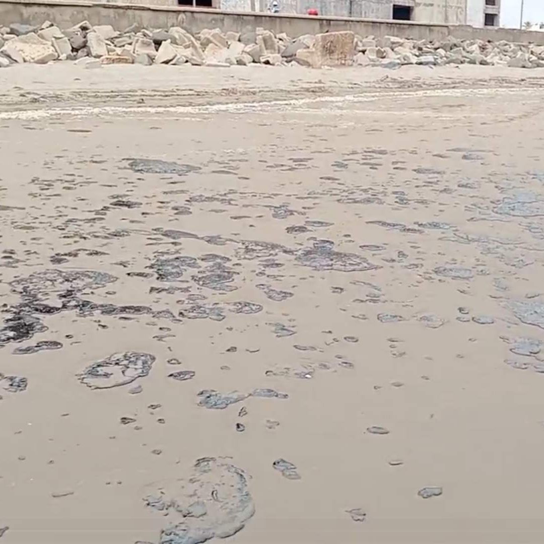 Autoridades de Medio Ambiente Recorren Playa de Coatzacoalcos Afectada por Chapopoteras Hidrocarburo