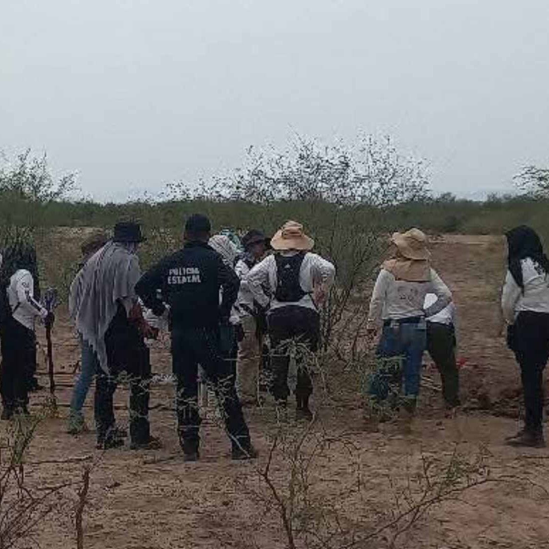 Suman 16 Osamentas Localizadas en un Predio del Valle de Guaymas en Sonora