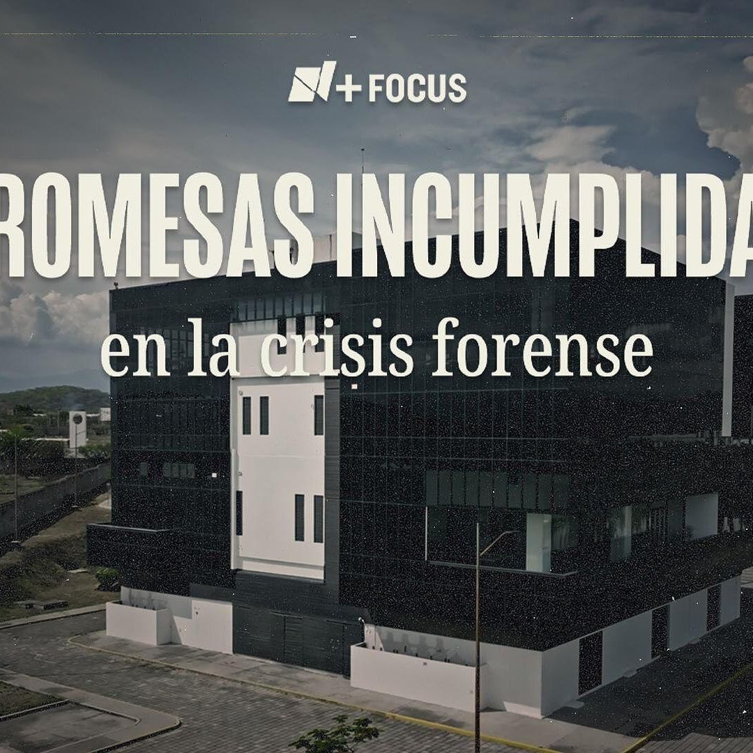 Las Promesas Incumplidas de la Crisis Forense