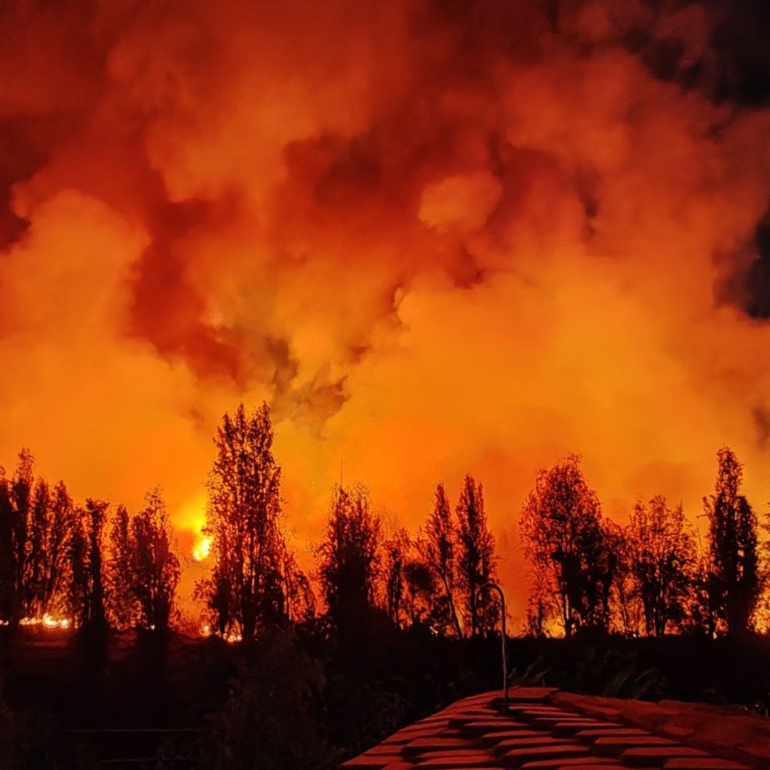 Se Incendia Pasto en Zona de Cuemanco de la Alcaldía Xochimilco, en CDMX.