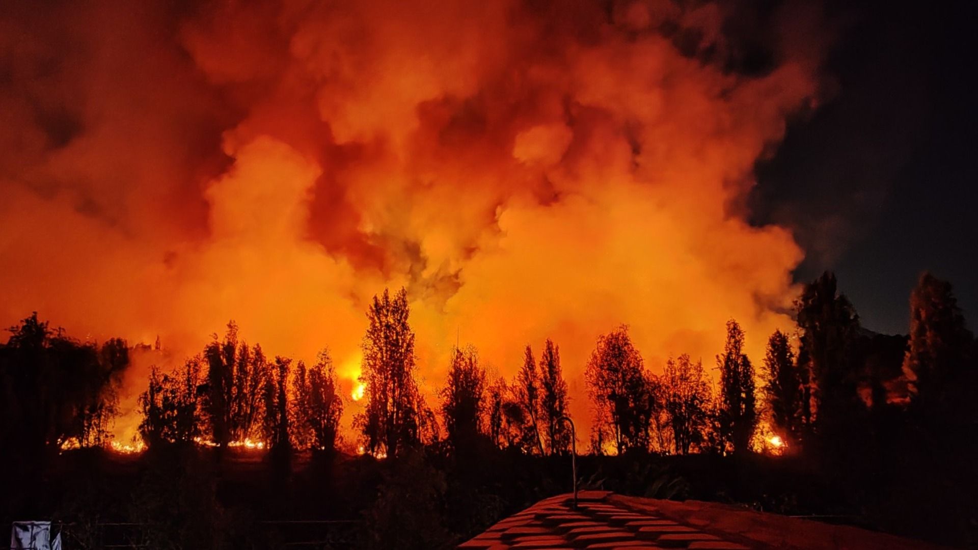 Se Incendia Pasto en Zona de Cuemanco de la Alcaldía Xochimilco, en CDMX.