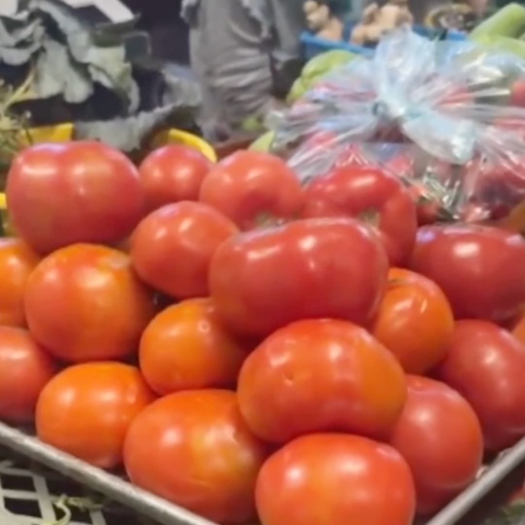 Entre 50 y 60 Pesos es el Costo del Kilo de Jitomate en León, Aumentando el Precio el Doble. Foto: N+