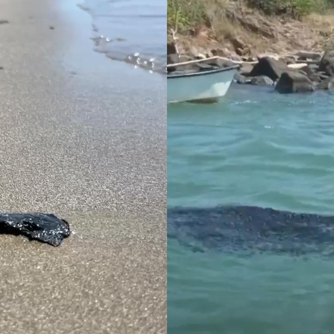 Marcha por el Mar Veracruz 2026 Cuándo y Dónde Será Movilización por Derrame Hidrocarburo