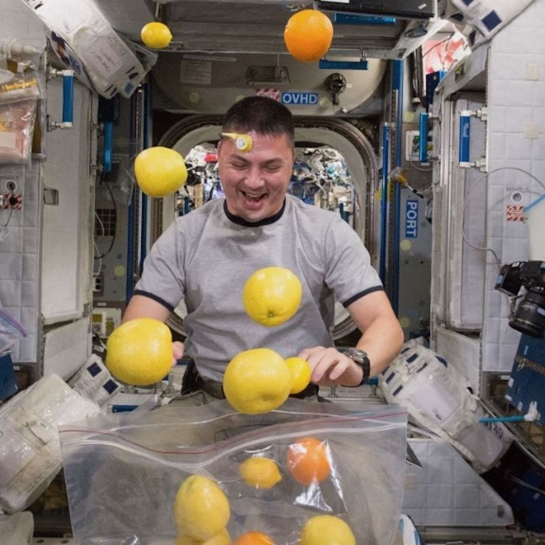 ¿Cómo es la vida cotidiana en el espacio? Esto vivirán astronautas de Artemis II