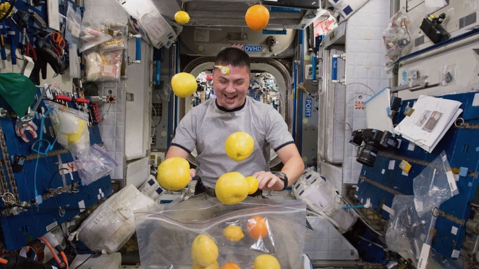 ¿Cómo es la vida cotidiana en el espacio? Esto vivirán astronautas de Artemis II