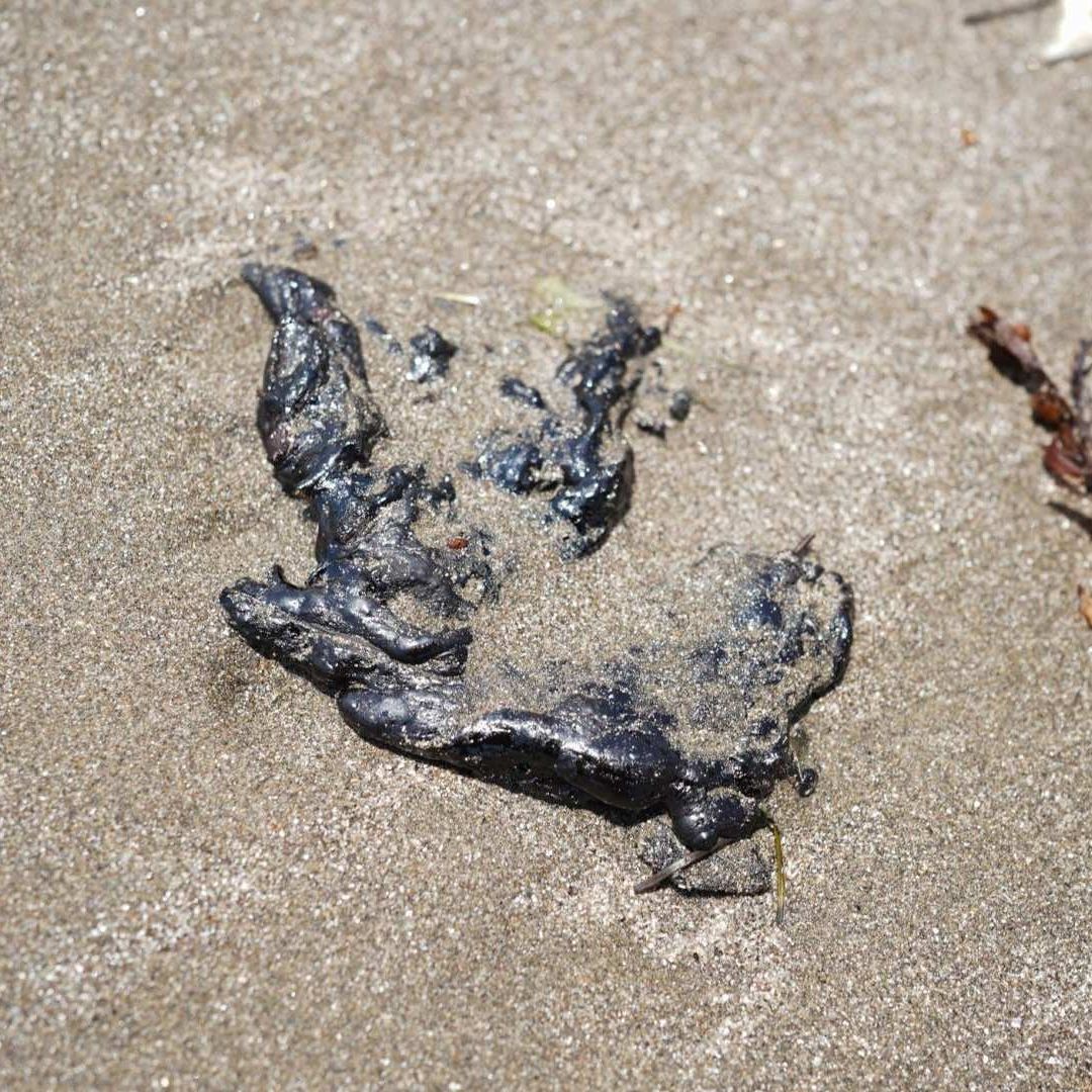 Derrame de Petróleo en el Golfo de México: Llaman a Solidarizarse con Afectados
