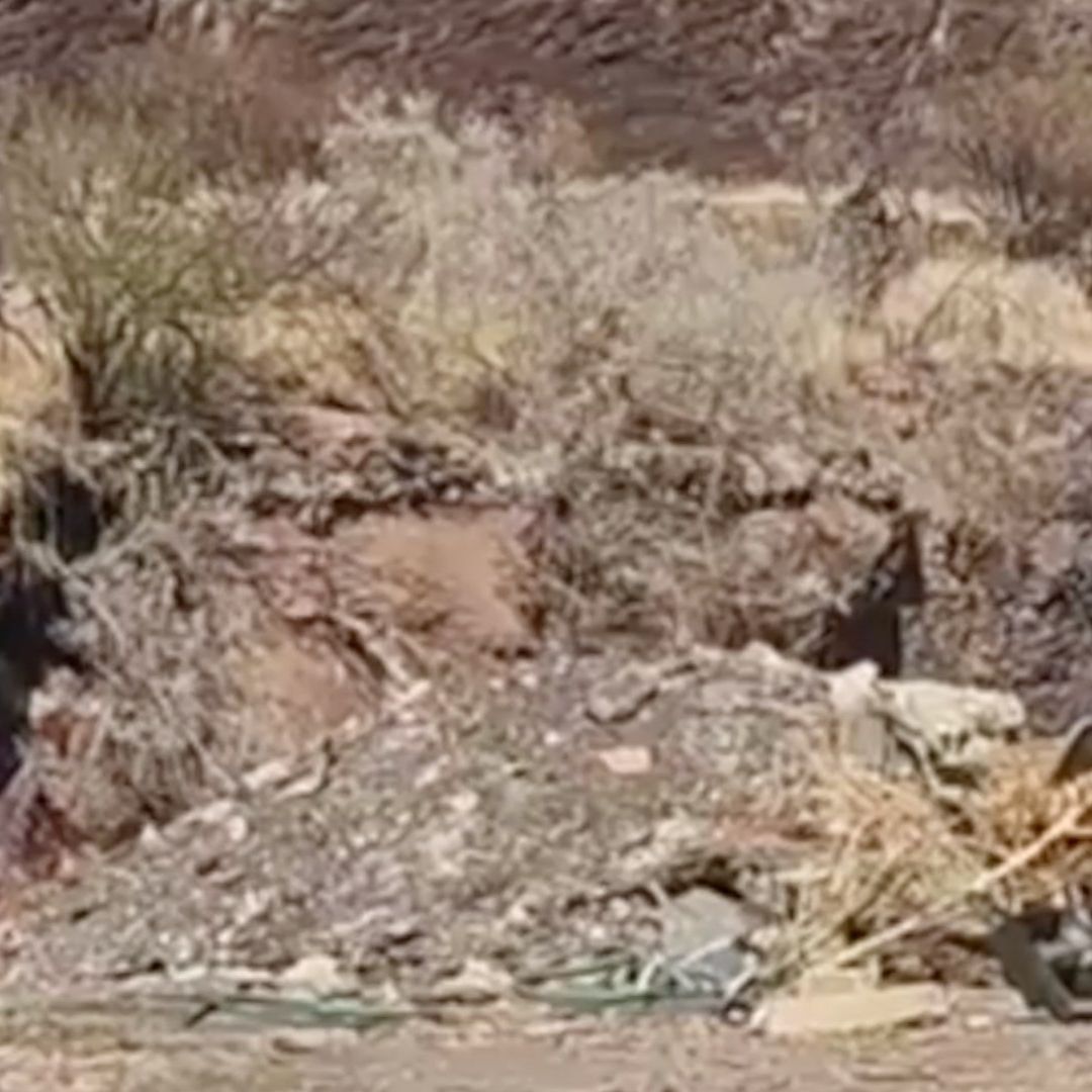 Hallan Cuerpo sin Vida en Zanja de un Cerro en Salamanca, Guanajuato. Foto: N+