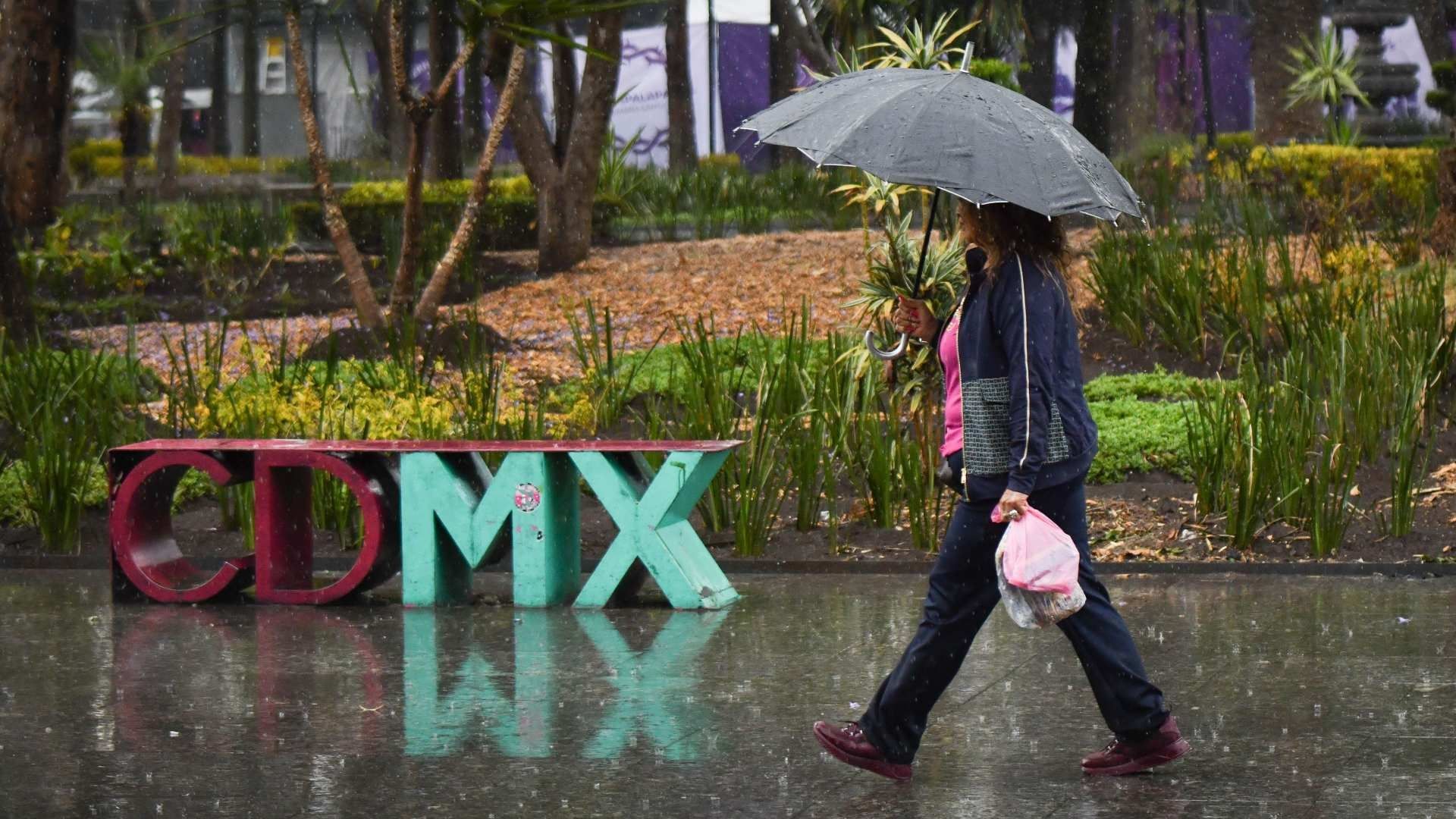 Mujer se protege de la lluvia en la Ciudad de México el 31 de marzo de 2026. Foto: Cuartoscuro