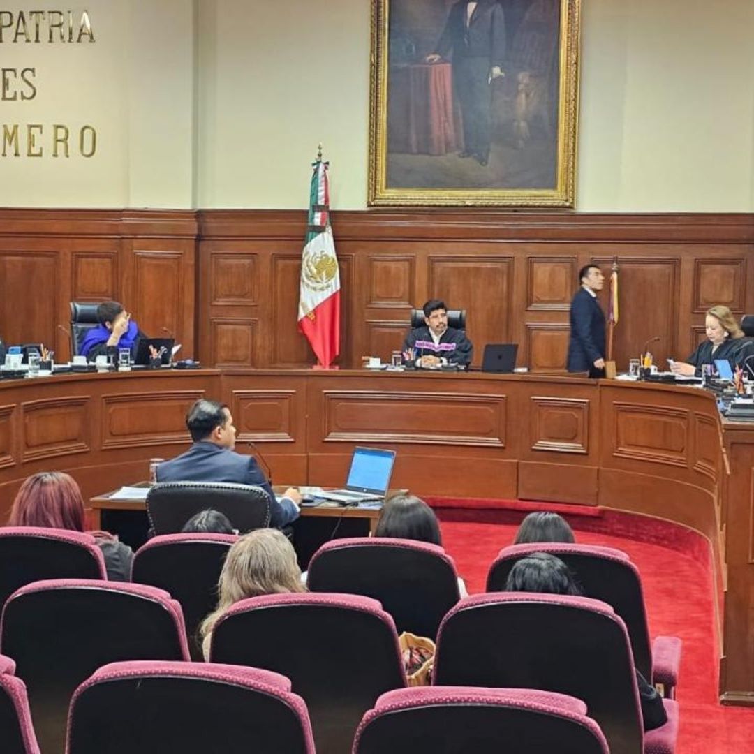Polémica SCJN: Ministra Asegura que Quienes Nacen por In Vitro No Forman Parte de una Familia