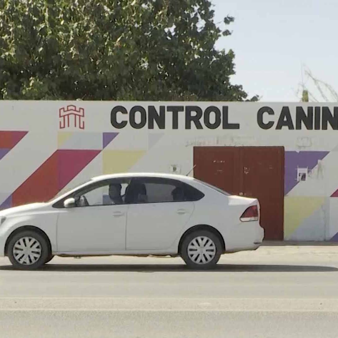 Abandonan Perro Sin Vida Dentro de Bolsa a las Afueras de Control Canino en Torreón