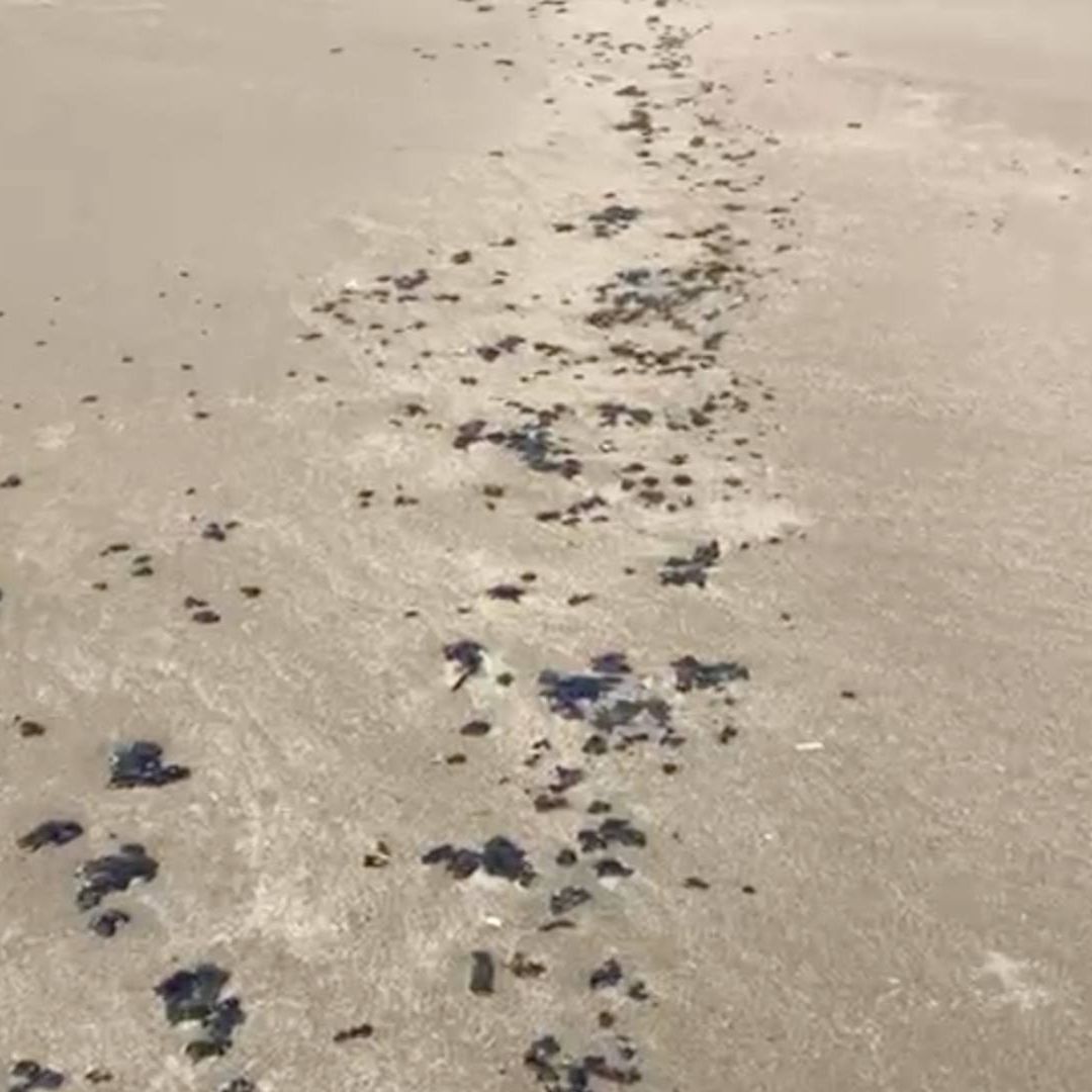 Arriba Chapopote Hidrocarburo a Playa de Coatzacoalcos Sur de Veracruz