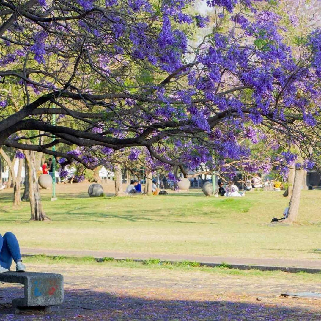 ¿Cómo será el clima en CDMX y el resto de México el fin de semana?