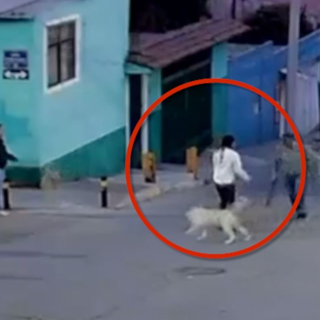 Mujer Atacada Machete Defender Perros Callejeros San Jerónimo Caleras Respuesta Gobernador Puebla