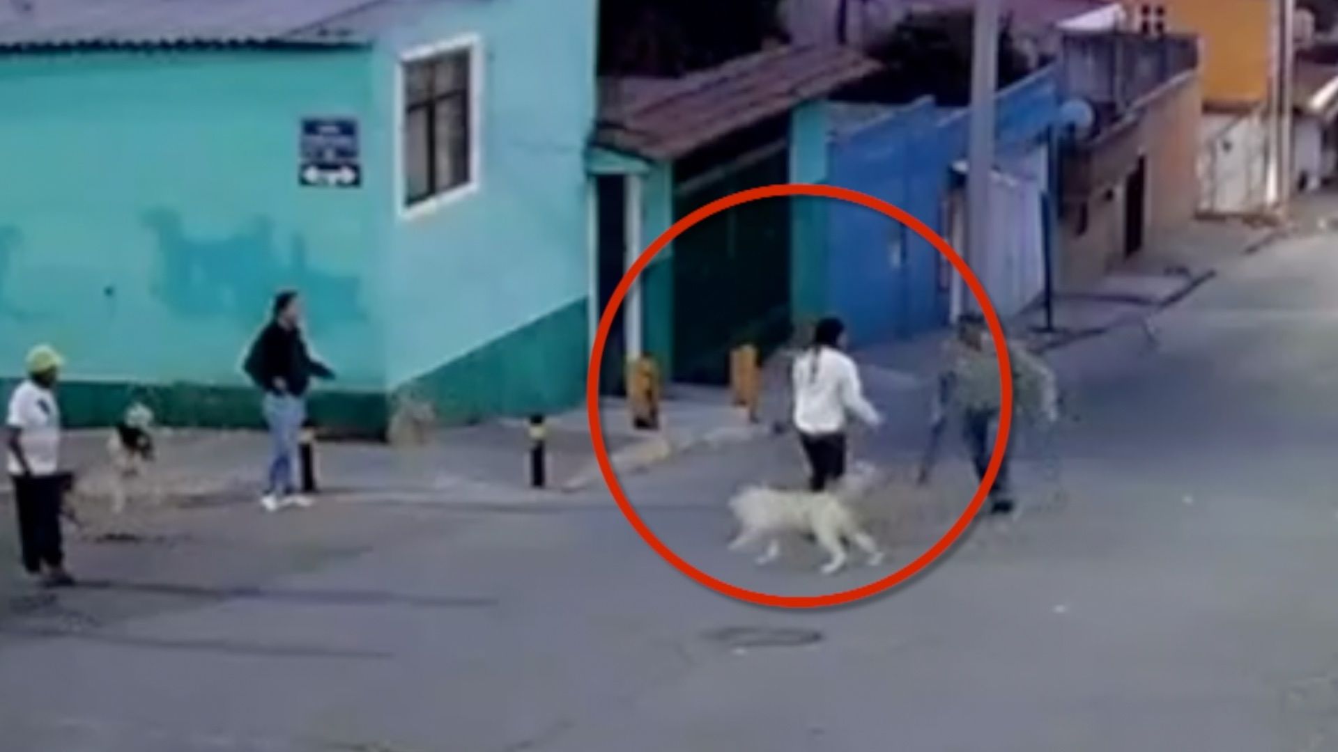Mujer Atacada Machete Defender Perros Callejeros San Jerónimo Caleras Respuesta Gobernador Puebla