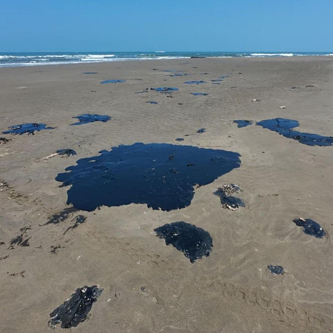 Chapopote en la línea de costa del Golfo de México. Foto: Greenpeace vía Cuartoscuro
